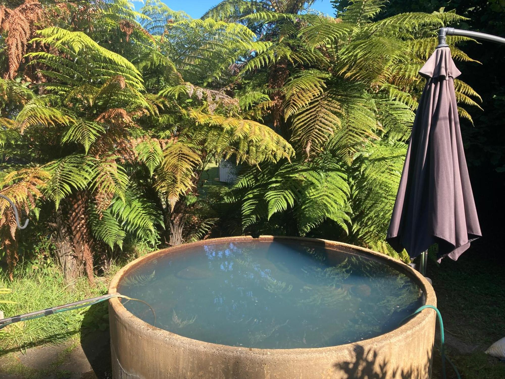 Whare&Geothermal Pool By Lake Taupo Turangi Kültér fotó